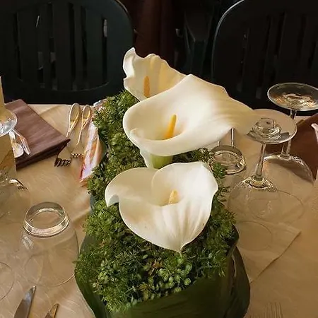 Ristorante La Terrazza Belgirate